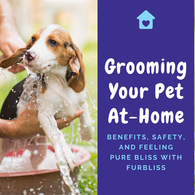 Grooming Your Pet At-Home