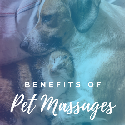Benefits of Pet Massages