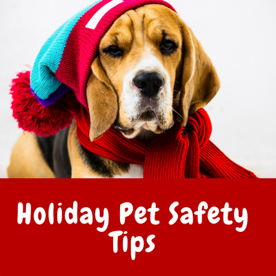 Holiday Pet Safety Tips