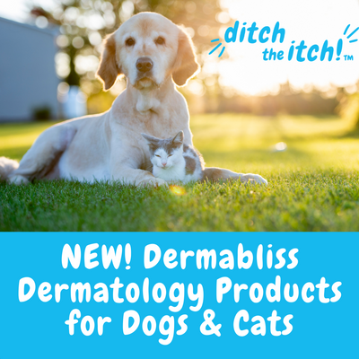 NEW! Dermabliss™ Dermatology Products for Dogs & Cats