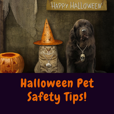 Halloween Pet Safety Tips!